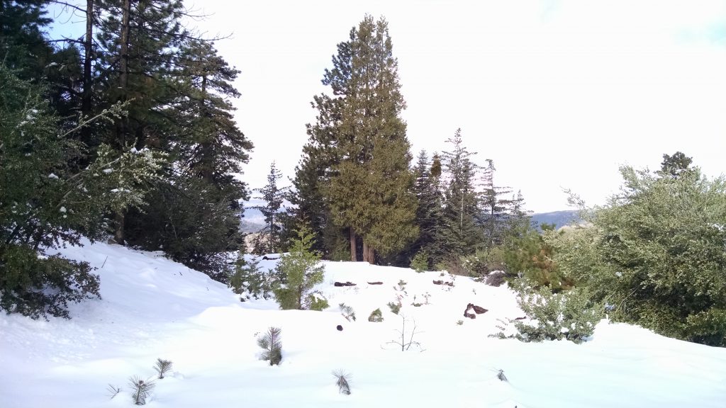 IMG_20160110_102011741